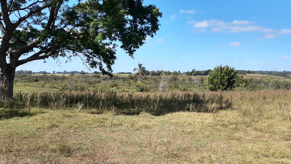 90263385_115730790041585_958187416823267328_n