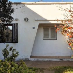 120090916_176660140615316_4780583860216473349_n