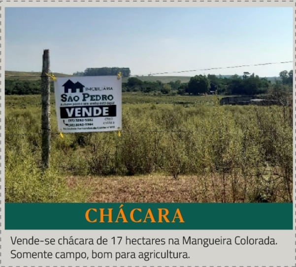 272776483_461103945504266_3484428657574336167_n