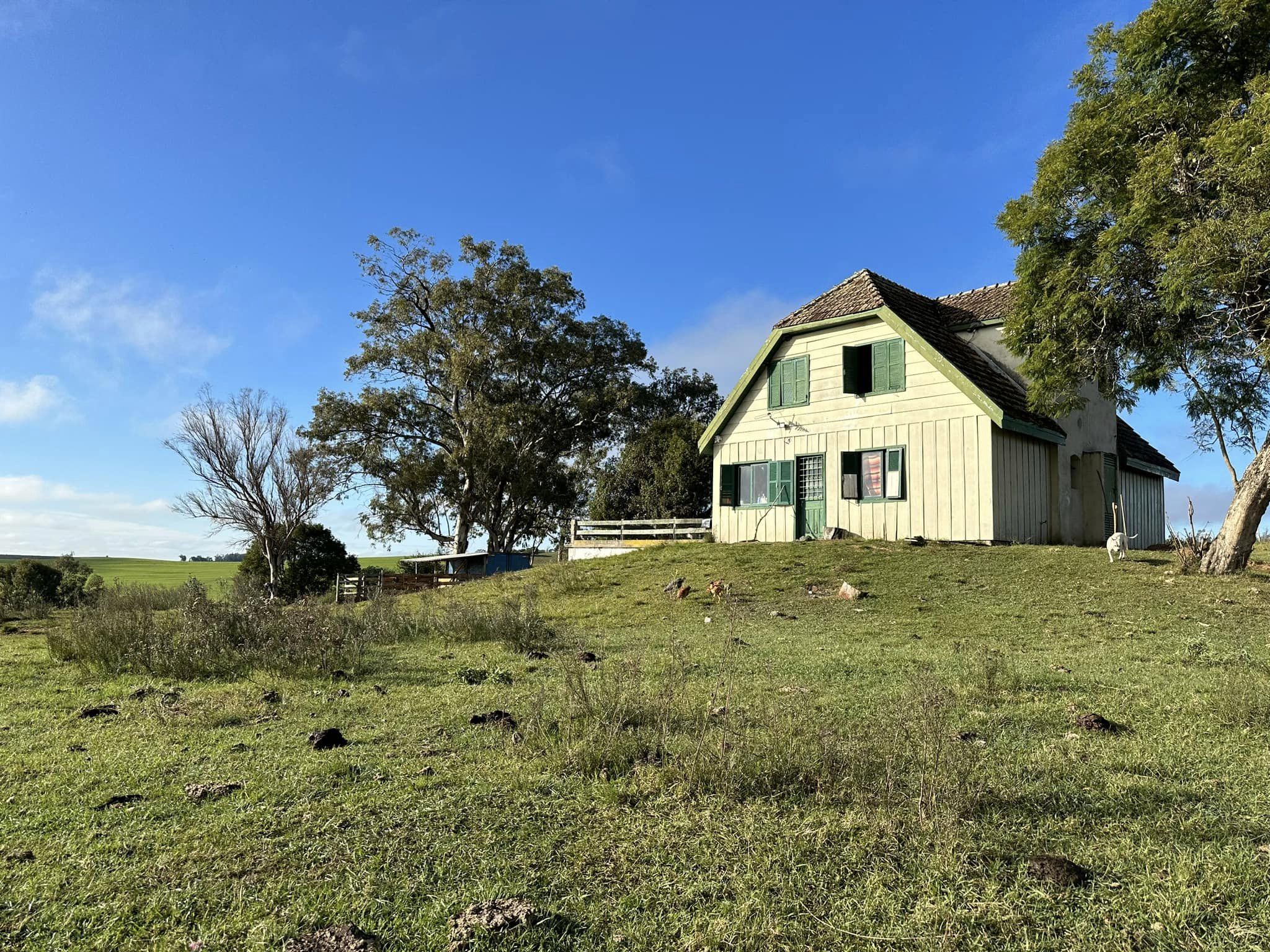 350662319_6608794862487446_1478186509086638752_n